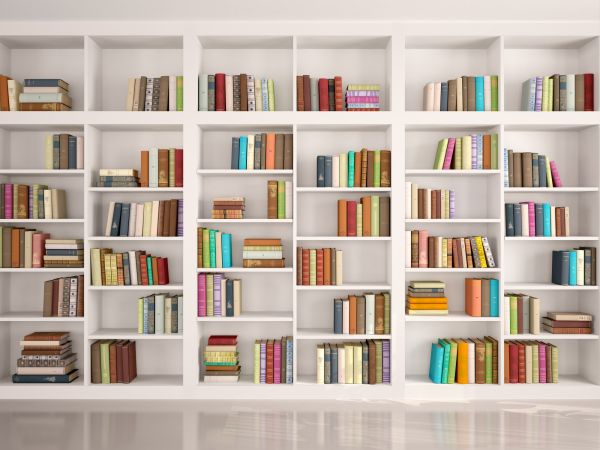 Bookshelf Assembly in Draper